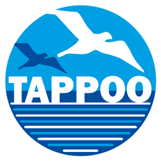 Tappoos Rugby Boot Sale — Tappoo Online Store